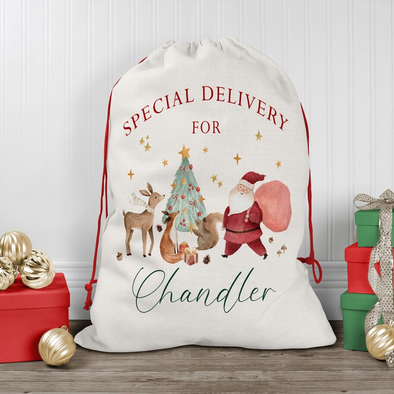 Kids Toys Names - Gepersonaliseerde naam kerst trekkoord cadeauzakje aangepaste