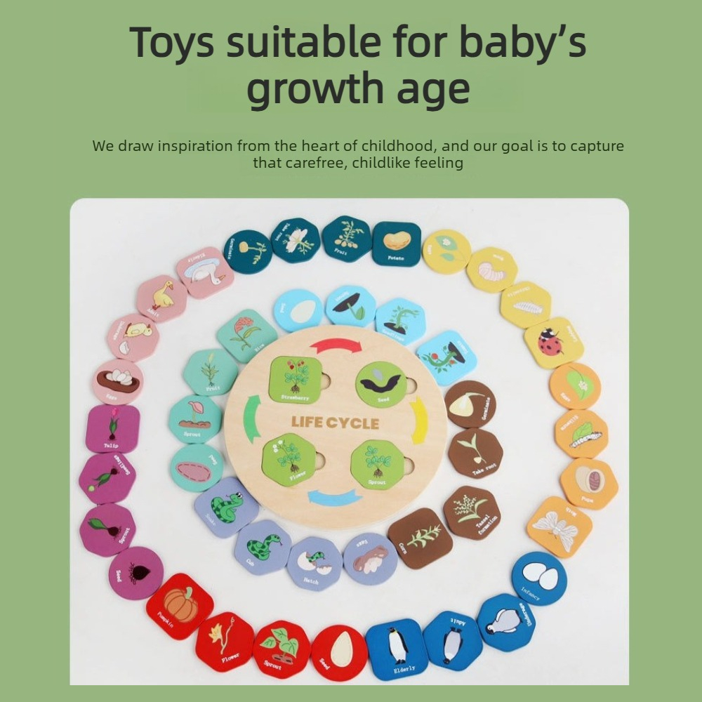 1-delige houten groeipuzzel, c - Kids Toys Cycle recensie en prijs