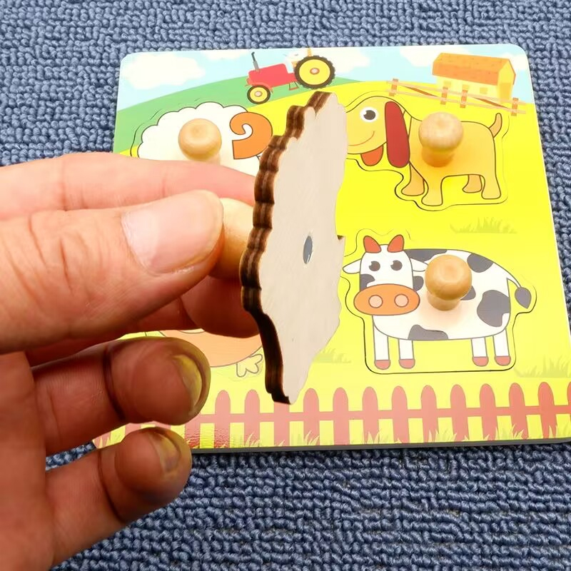 Kinderen Montessori 3D Houten  - Kids Toys 2 Year Old recensie en prijs
