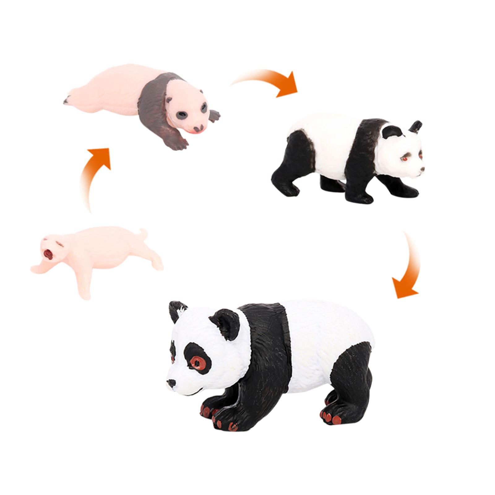 4x 4x Panda Dierlijke Levenscy - Kids Toys Cycle recensie en prijs