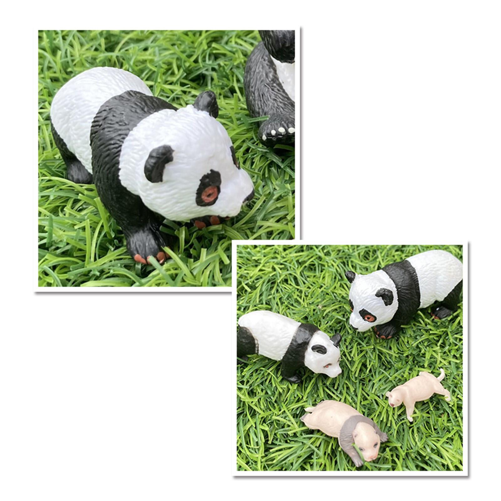 4x 4x Panda Dierlijke Levenscy - Kids Toys Cycle recensie en prijs