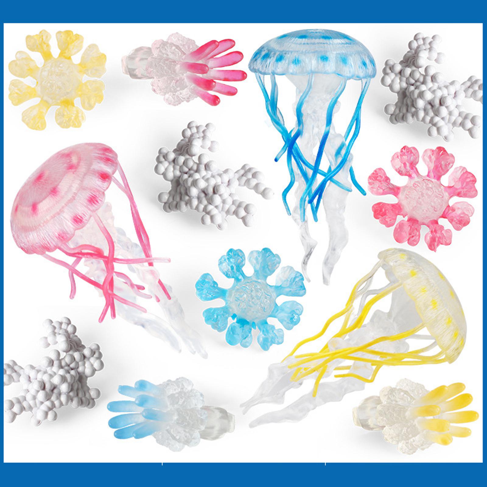 Kwallen-groeicyclusmodel Diere - Kids Toys Cycle recensie en prijs