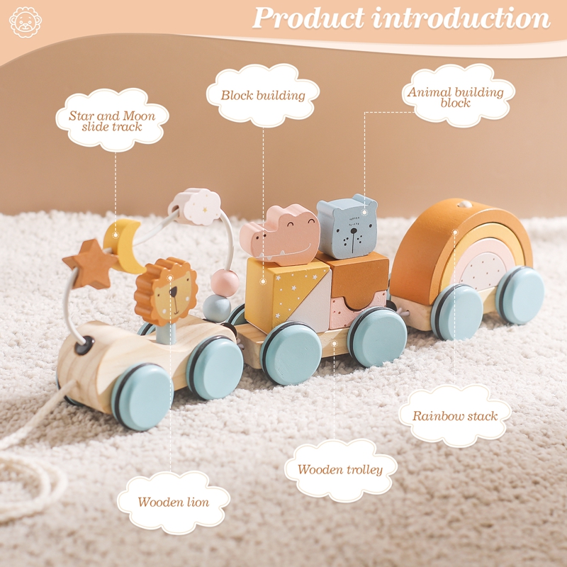 Houten Montessori-speelgoed Di - Kids Toys 2 Year Old recensie en prijs