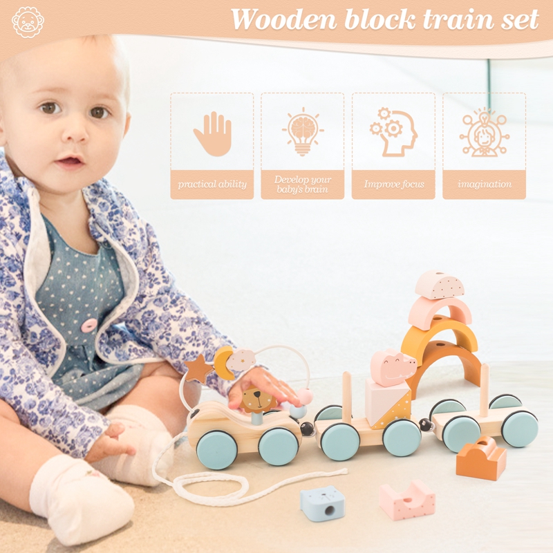 Houten Montessori-speelgoed Di - Kids Toys 2 Year Old recensie en prijs