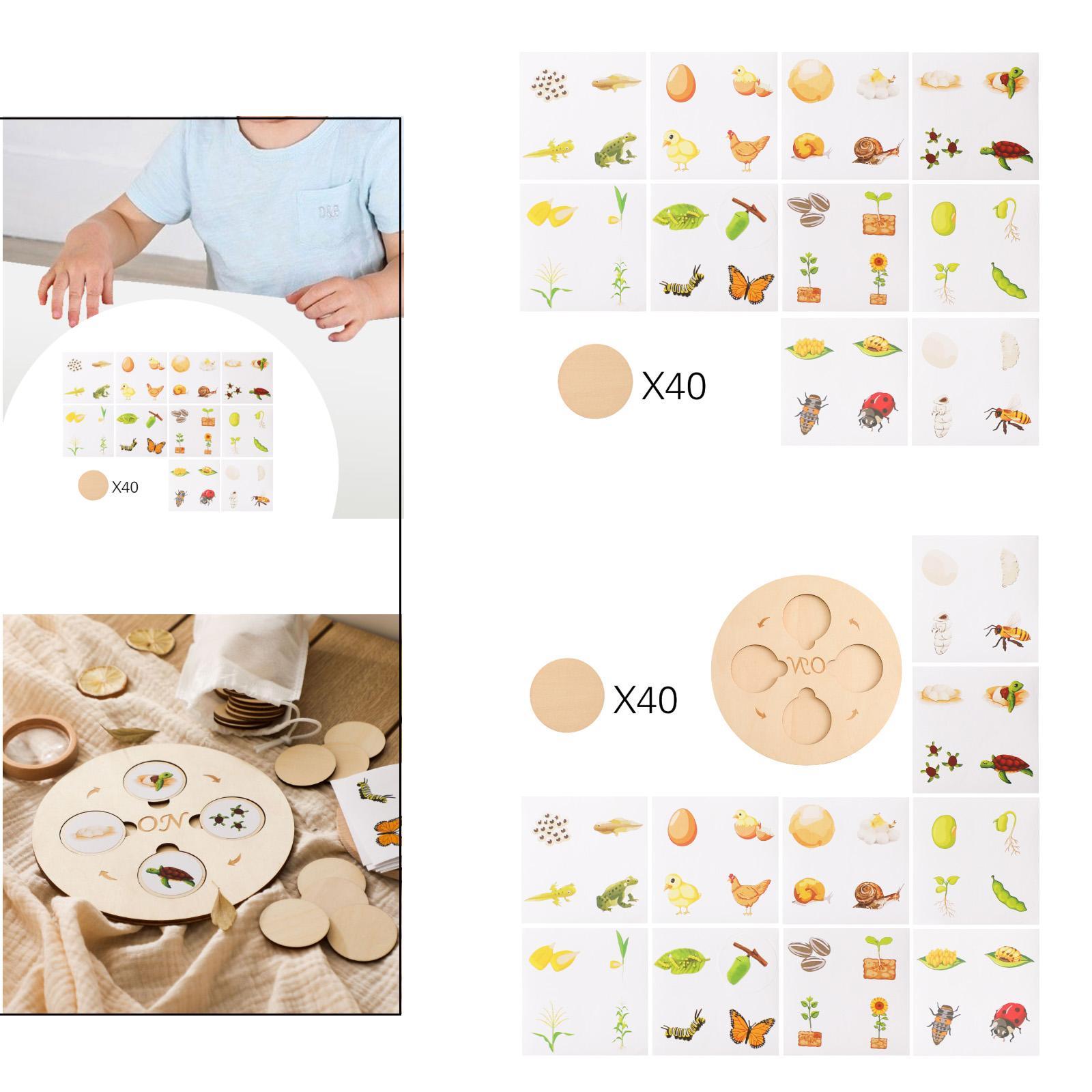 Levenscyclus Speelgoedset Hout - Kids Toys Cycle recensie en prijs