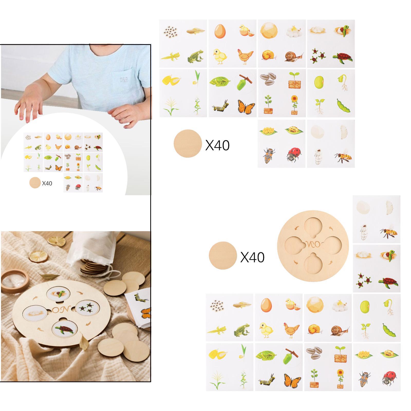 Levenscyclus Speelgoedset Hout - Kids Toys Cycle recensie en prijs